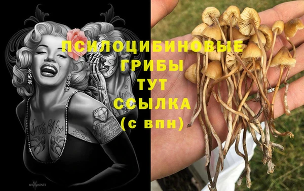 ГАЛЛЮЦИНОГЕННЫЕ ГРИБЫ Алзамай