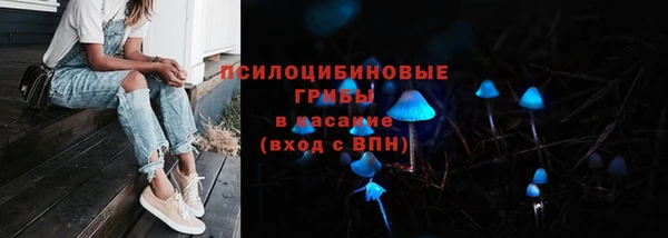 ГАЛЛЮЦИНОГЕННЫЕ ГРИБЫ Алзамай