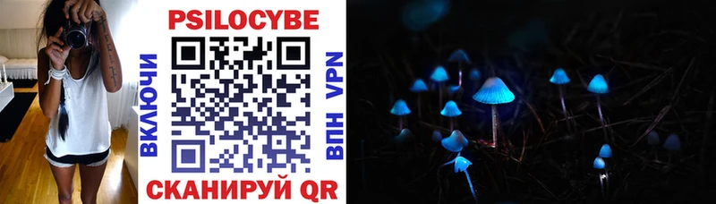 ОМГ ОМГ как войти  Томари  Галлюциногенные грибы Psilocybe 